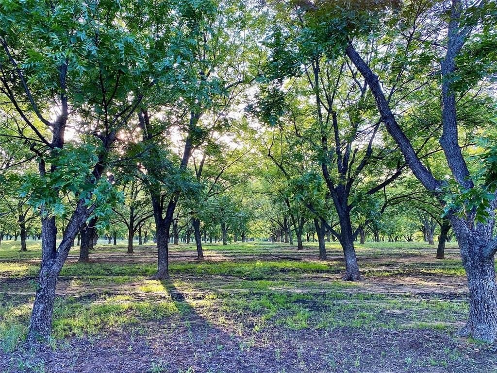 73.28 acres in Comanche County - photo 21