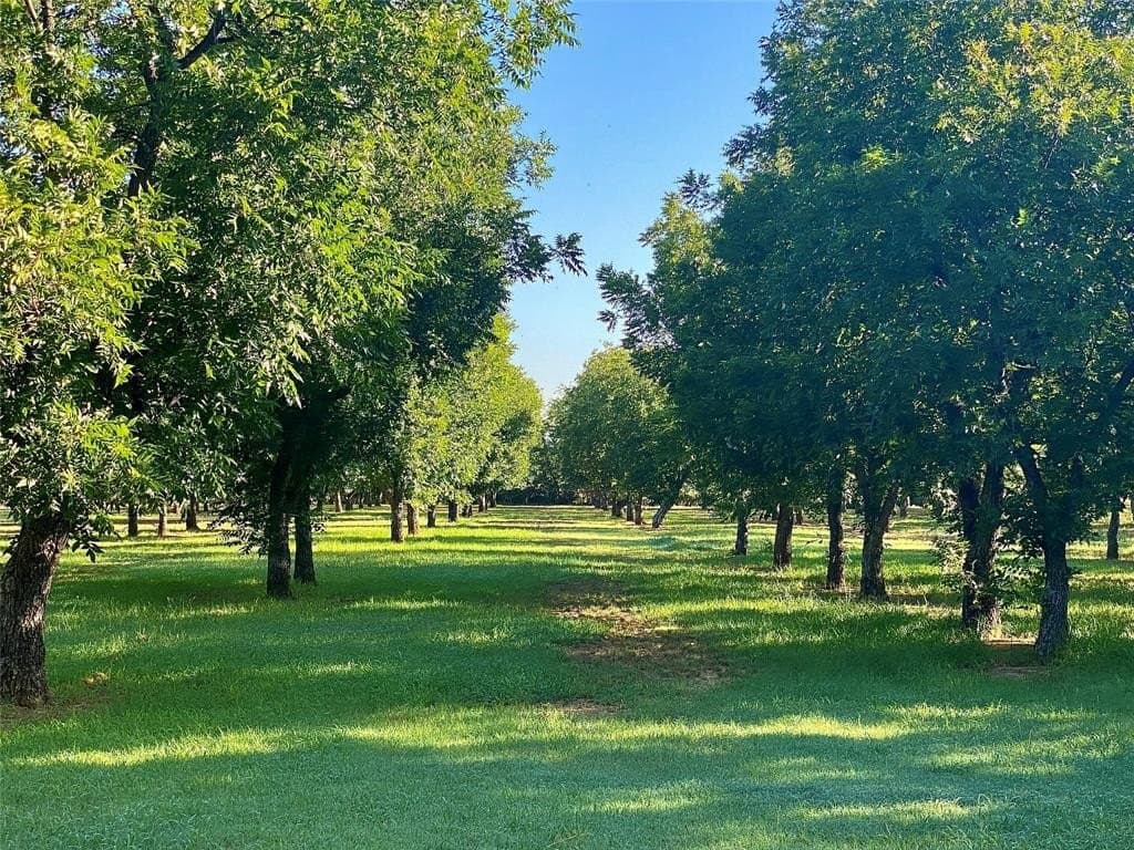 73.28 acres in Comanche County - photo 23