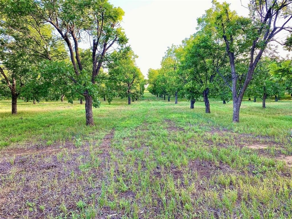 73.28 acres in Comanche County - photo 19