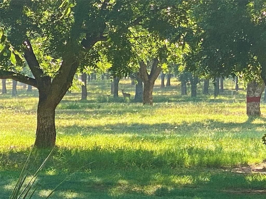 73.28 acres in Comanche County - photo 24