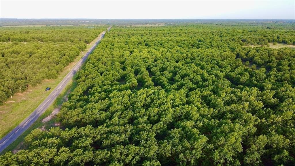 73.28 acres in Comanche County - photo 3