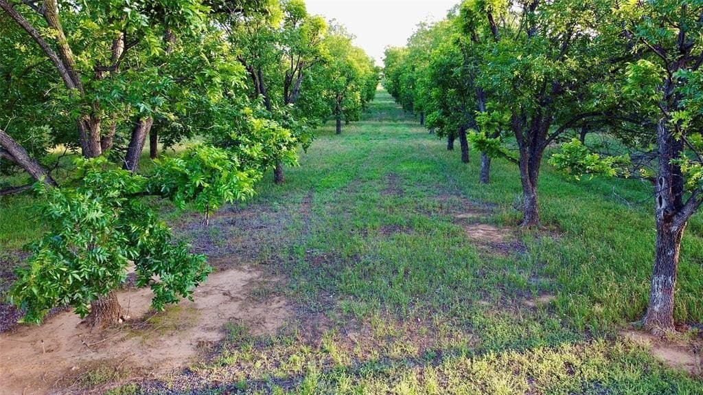 73.28 acres in Comanche County - photo 6