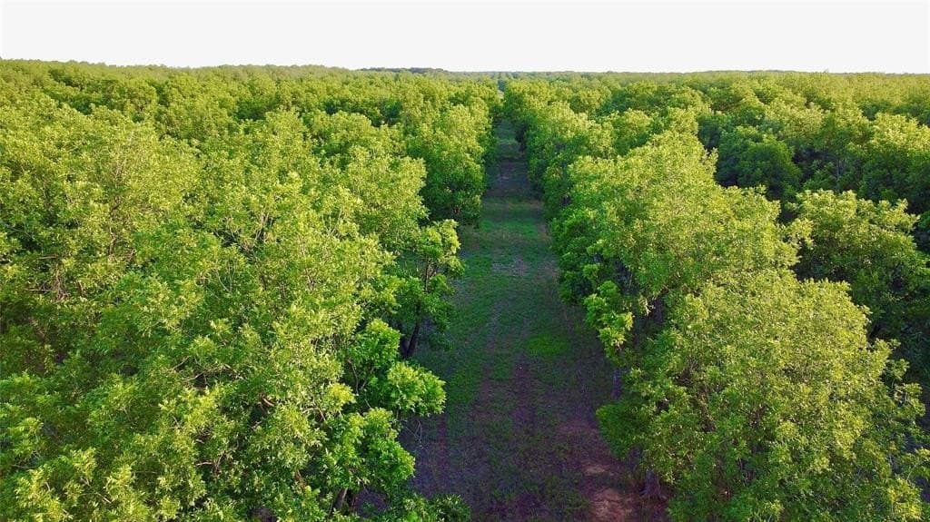 73.28 acres in Comanche County - photo 4