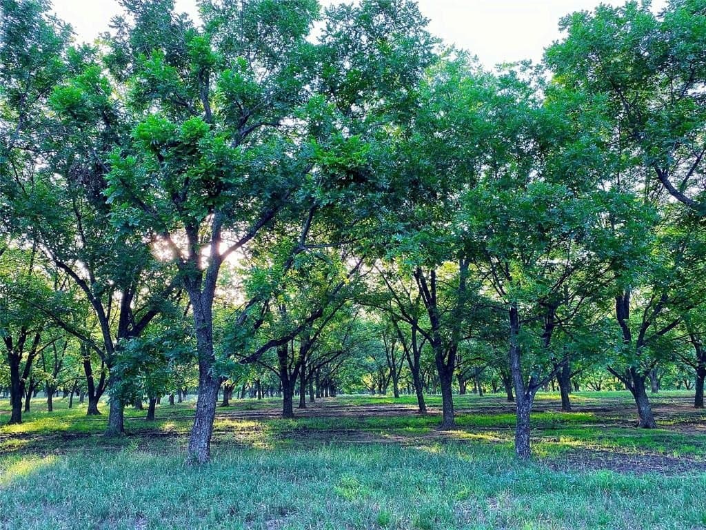 73.28 acres in Comanche County - photo 2