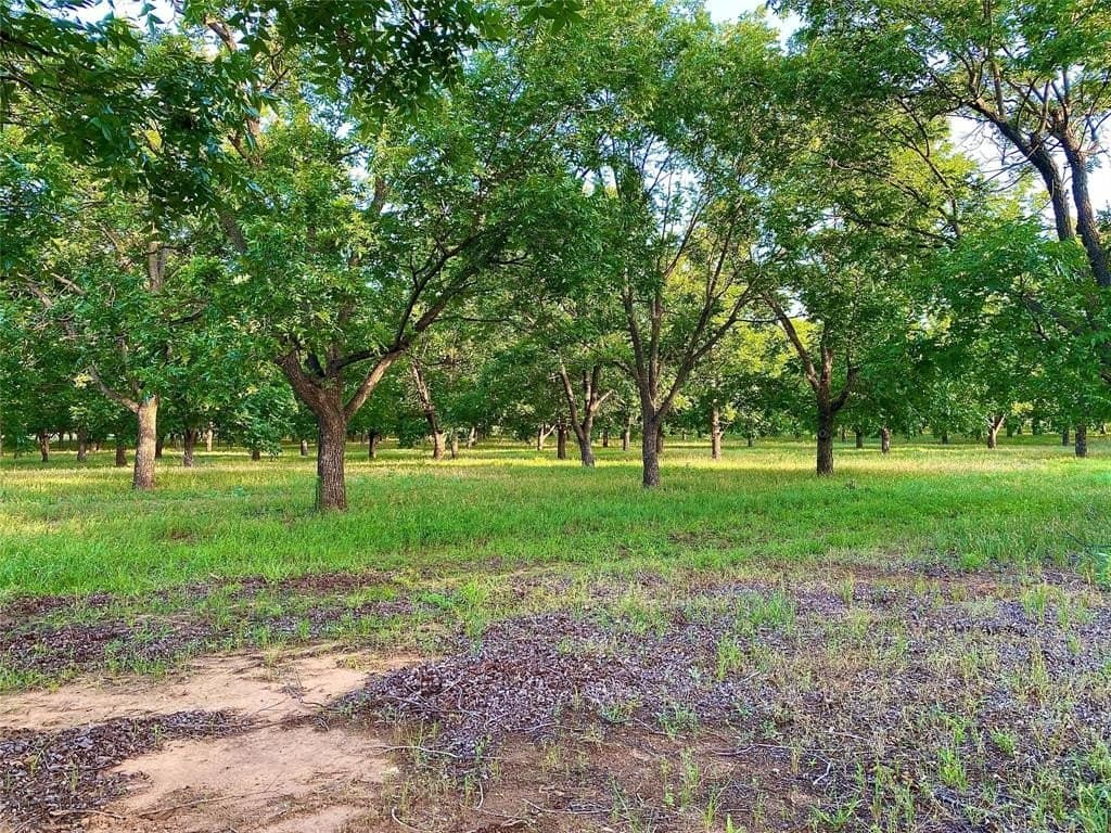 73.28 acres in Comanche County - photo 20