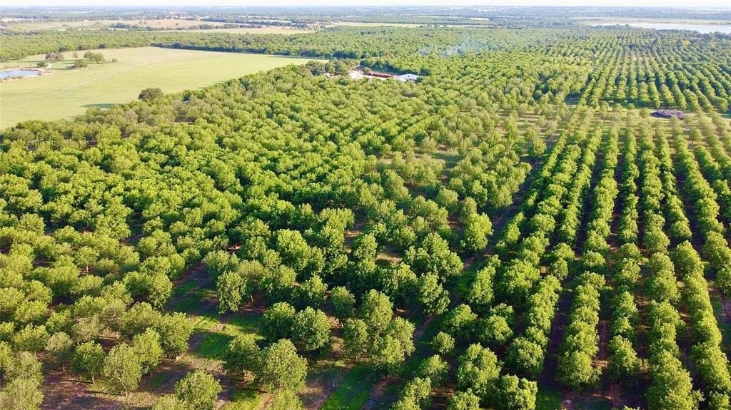 73.28 acres in Comanche County - photo 7