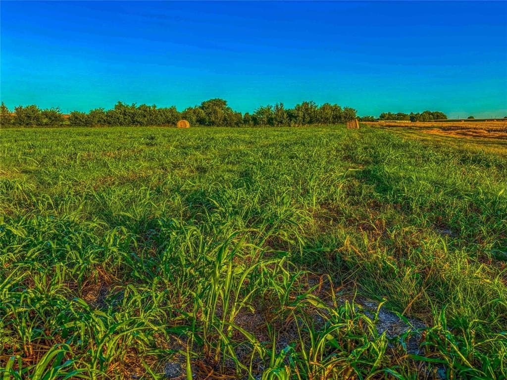 16.18 acres in Bell County - photo 16