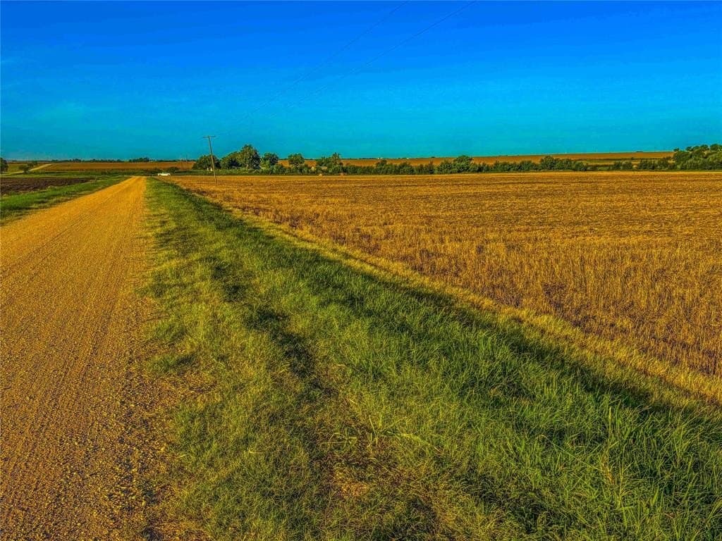 16.18 acres in Bell County - photo 21