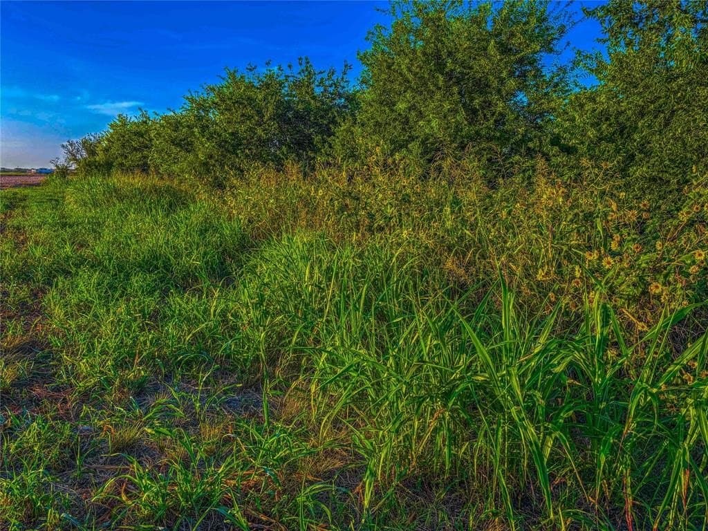 16.18 acres in Bell County - photo 18