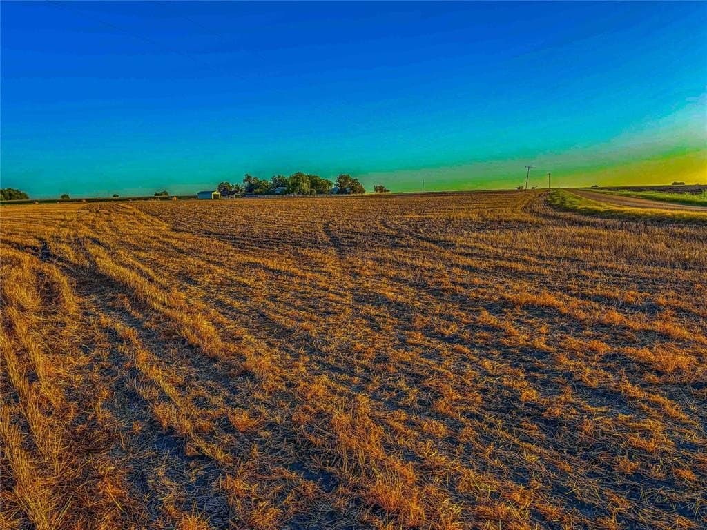 16.18 acres in Bell County - photo 14