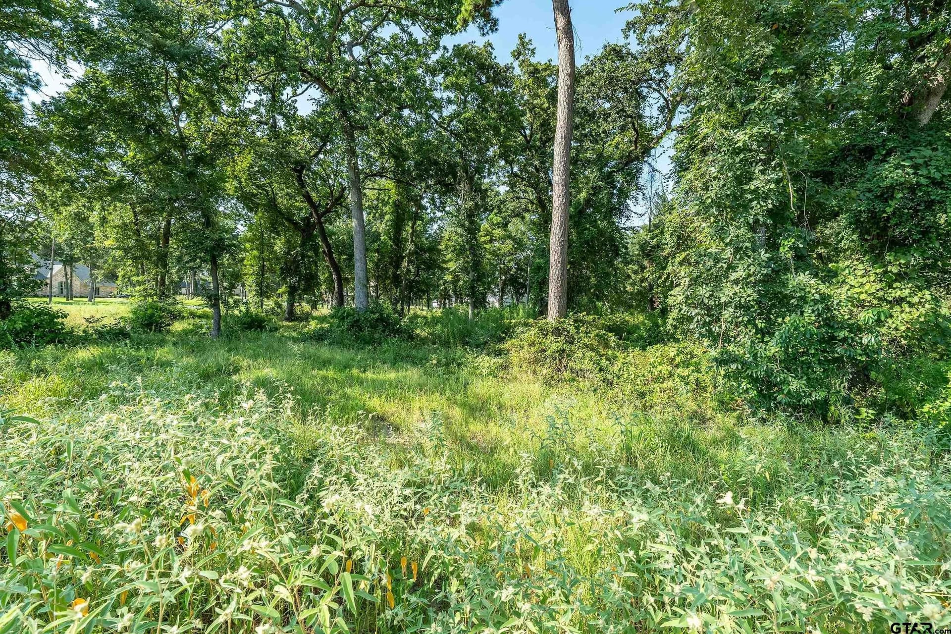 0.97 acres in Cherokee County - photo 15