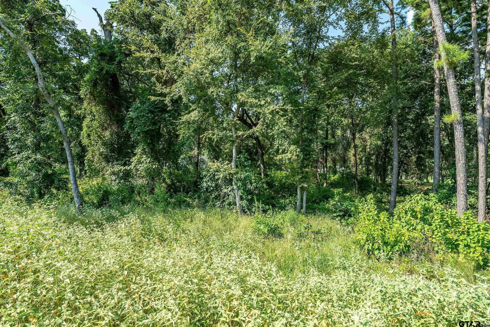 0.97 acres in Cherokee County - photo 14