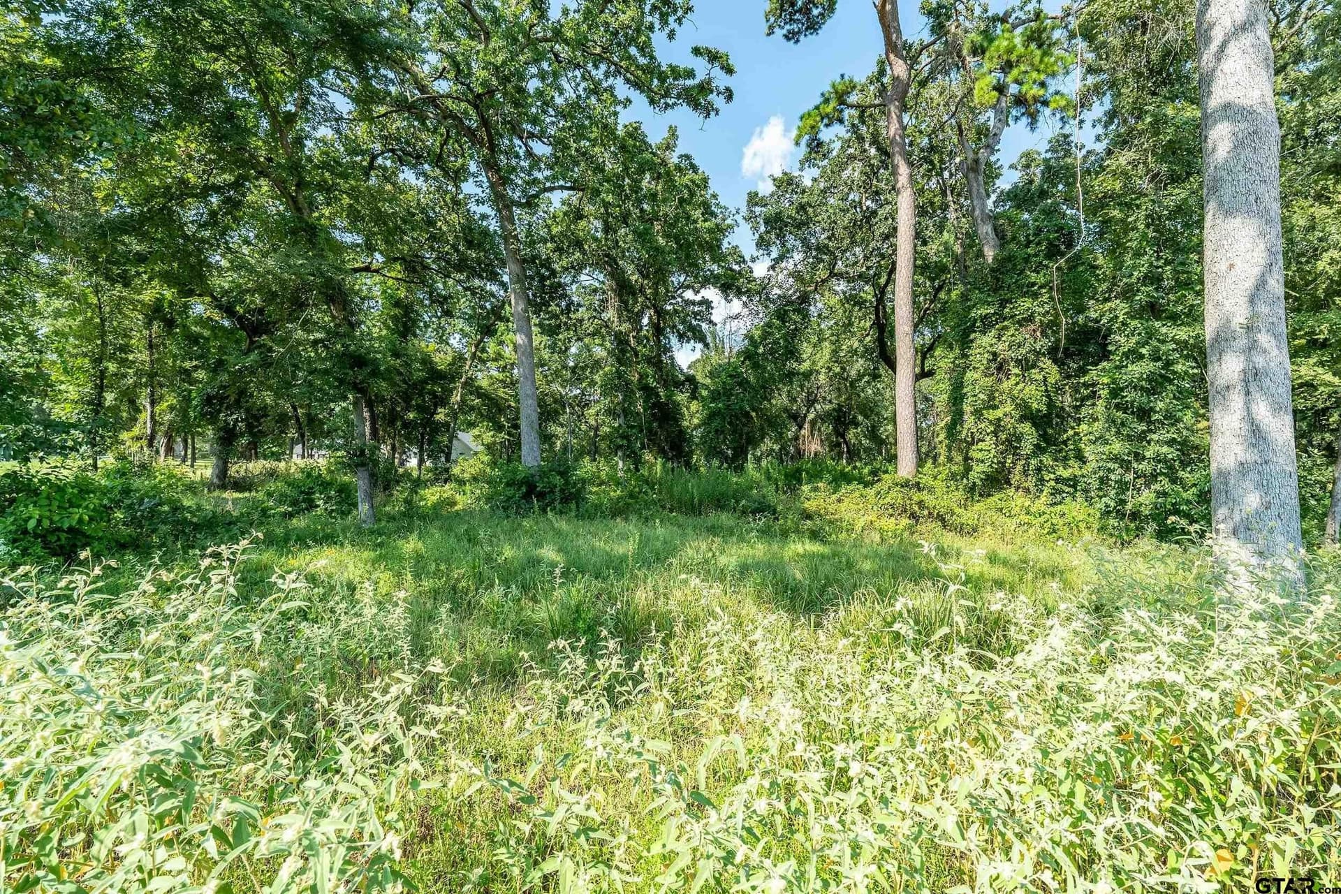 0.97 acres in Cherokee County - photo 16