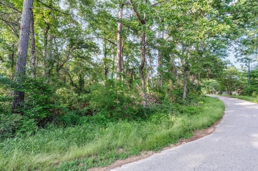 0.17 acres in Henderson County - photo 6