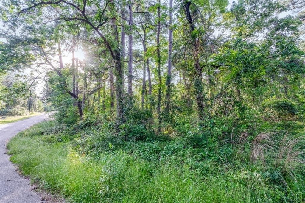 0.17 acres in Henderson County - photo 3