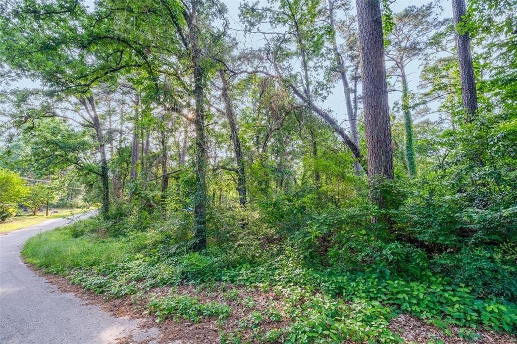 0.17 acres in Henderson County - photo 10