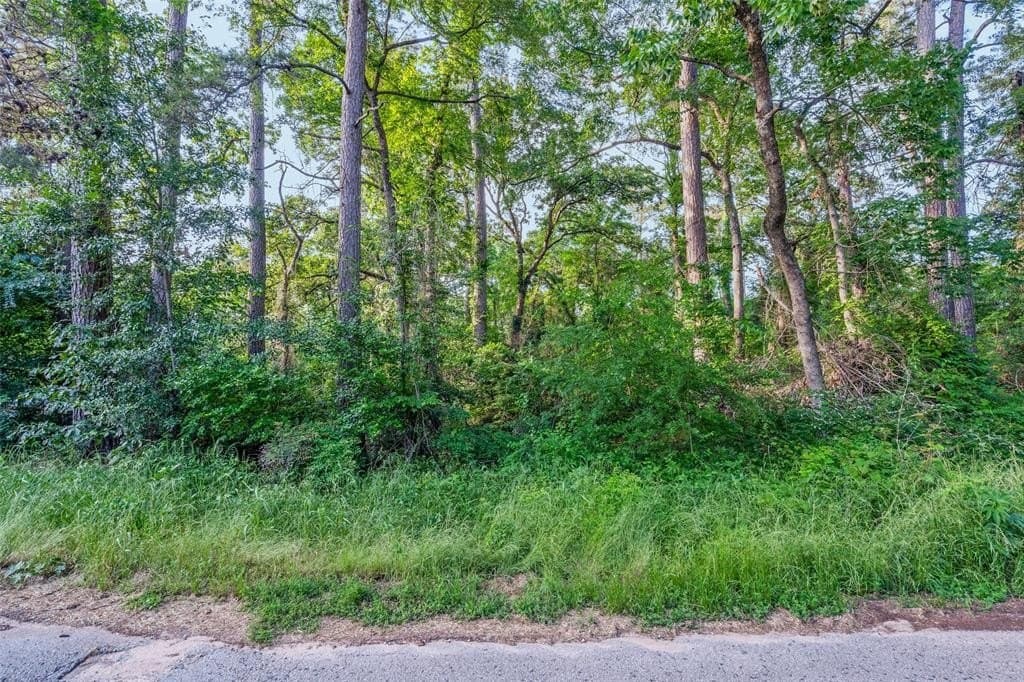 0.17 acres in Henderson County - photo 11
