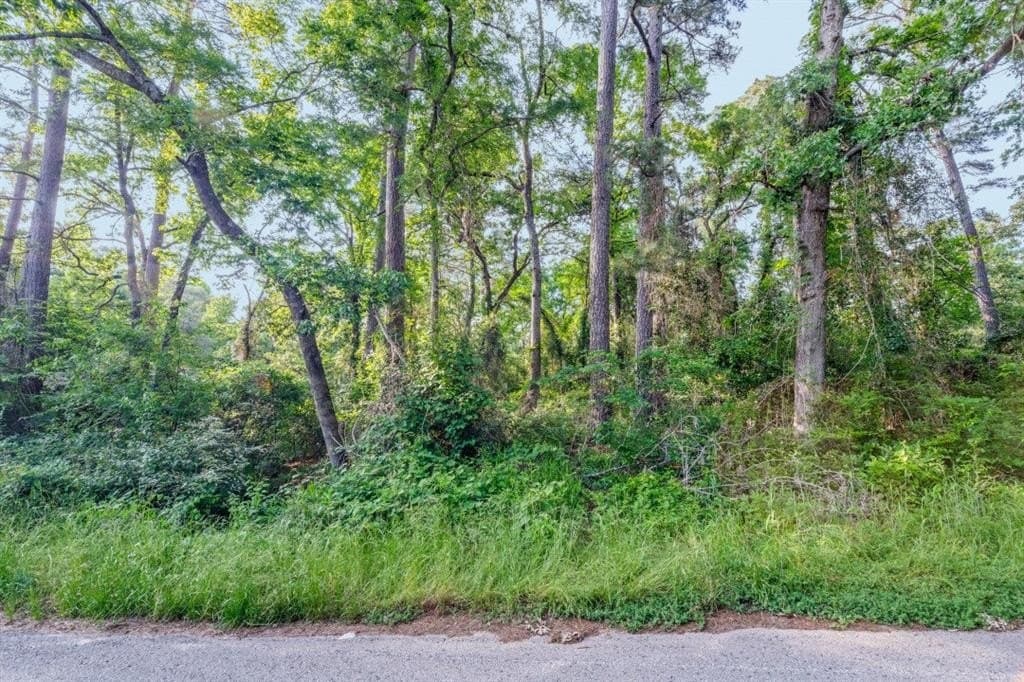 0.17 acres in Henderson County - photo 2