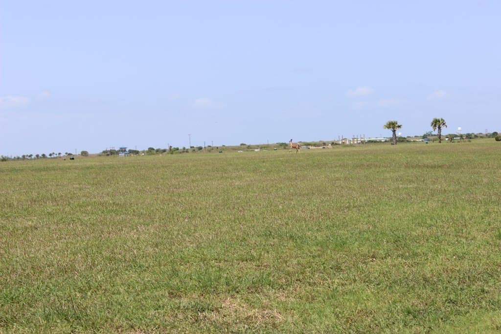 0.31 acres in Texas County - photo 7