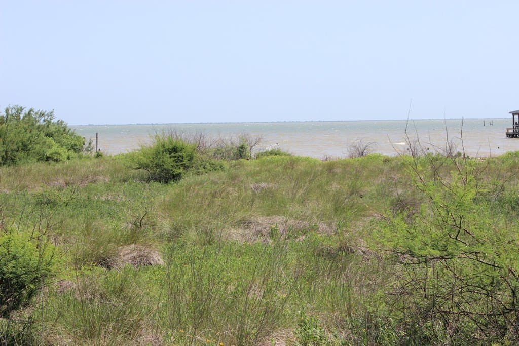 0.31 acres in Texas County - photo 6