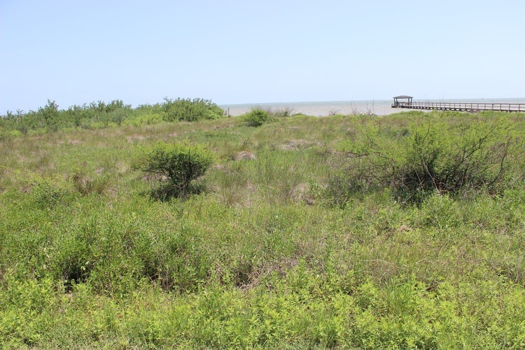 0.31 acres in Texas County - photo 5