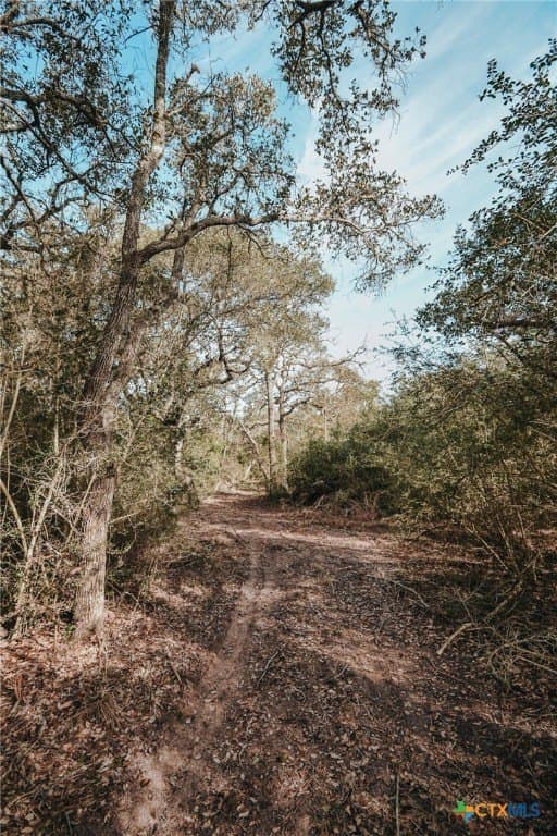 10.53 acres in Victoria County - photo 10