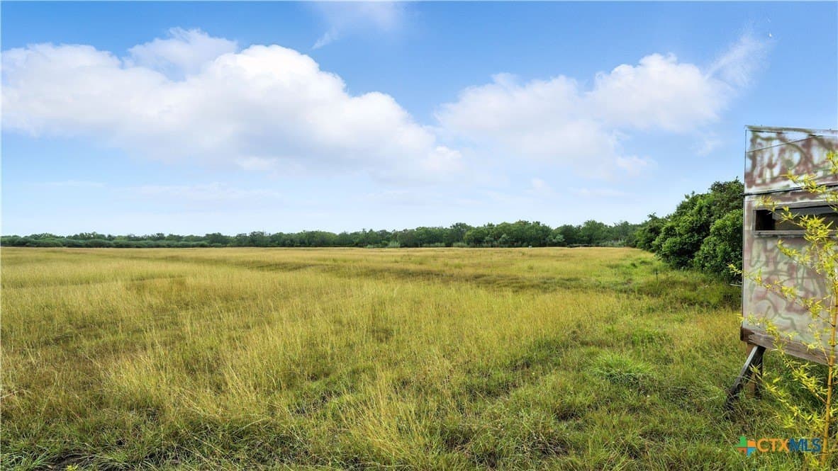 37 acres in Lavaca County - photo 15