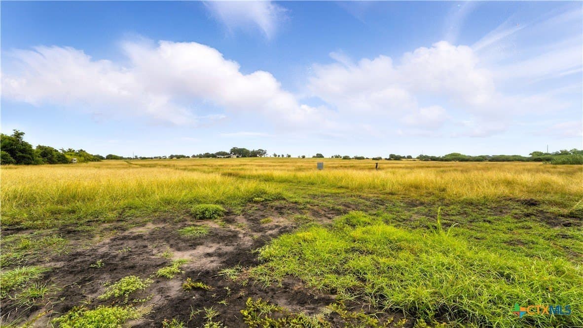 37 acres in Lavaca County - photo 23
