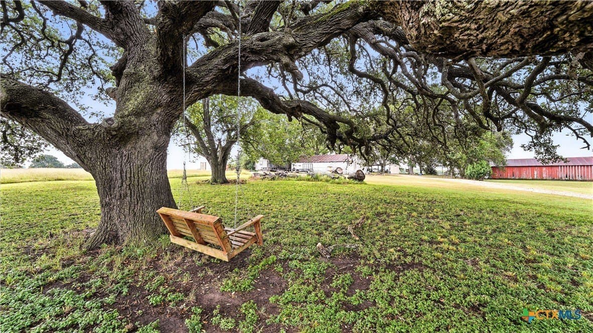 37 acres in Lavaca County - photo 9