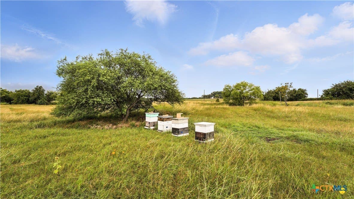 37 acres in Lavaca County - photo 25
