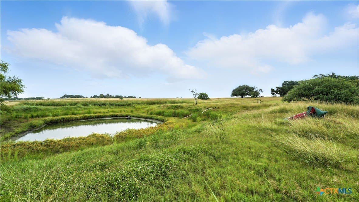 37 acres in Lavaca County - photo 5