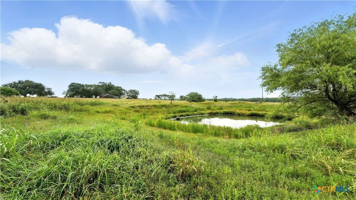 37 acres in Lavaca County - photo 6