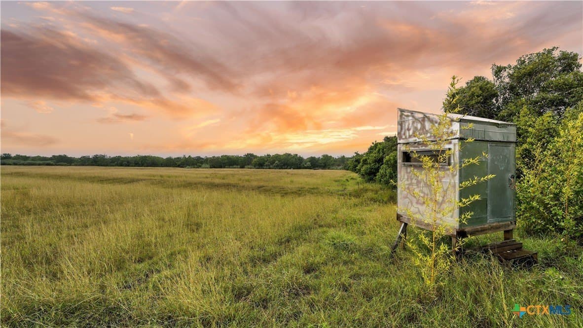 37 acres in Lavaca County - photo 4