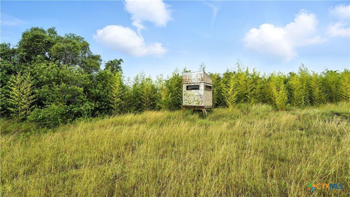 37 acres in Lavaca County - photo 17