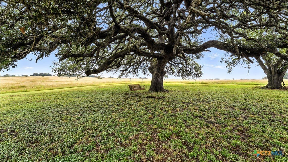 37 acres in Lavaca County - photo 11