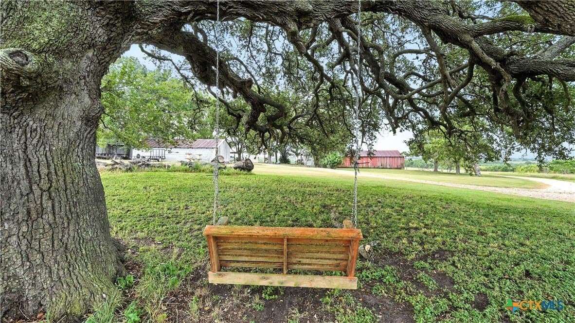 37 acres in Lavaca County - photo 8