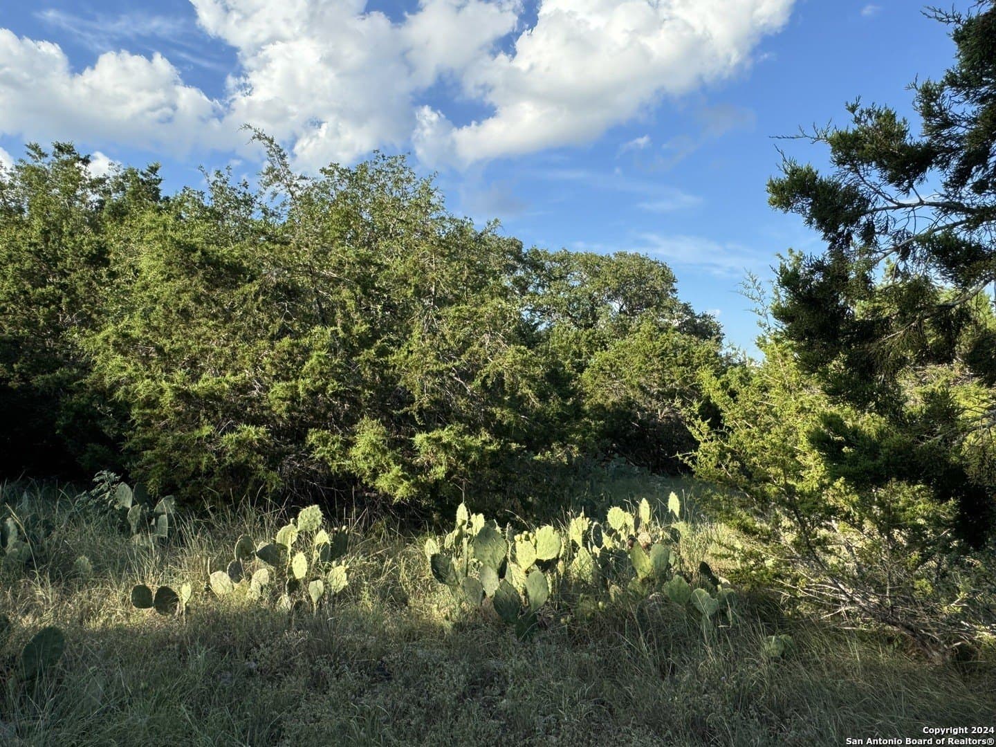 0.32 acres in Comal County - photo 2