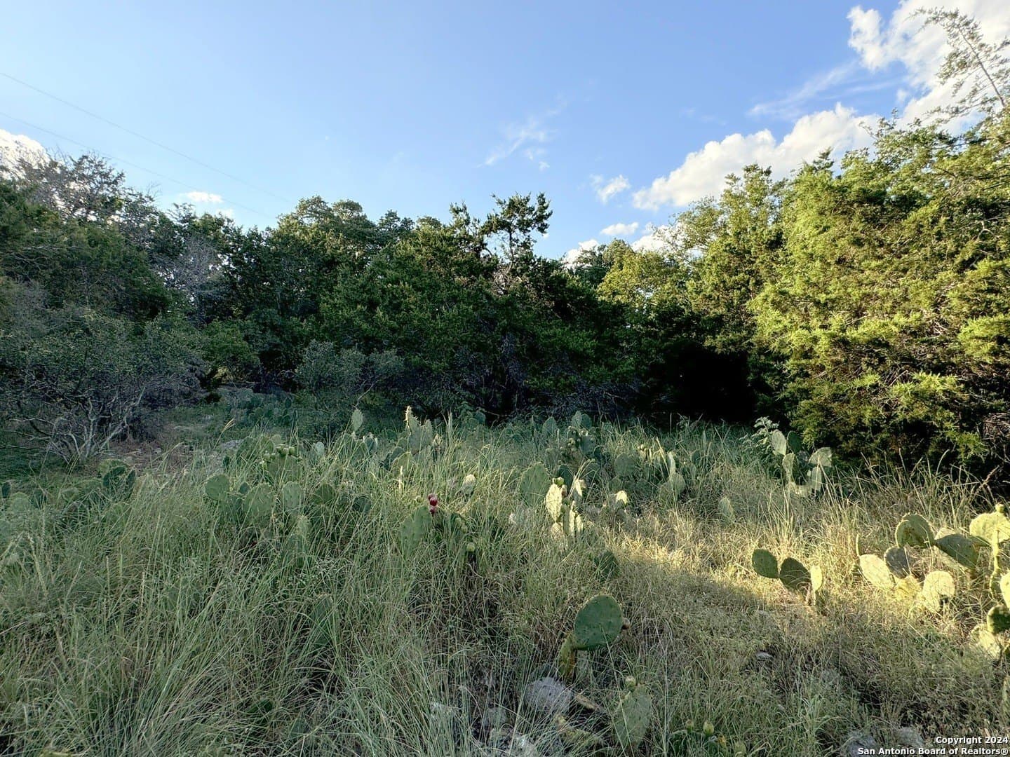 0.32 acres in Comal County - photo 4