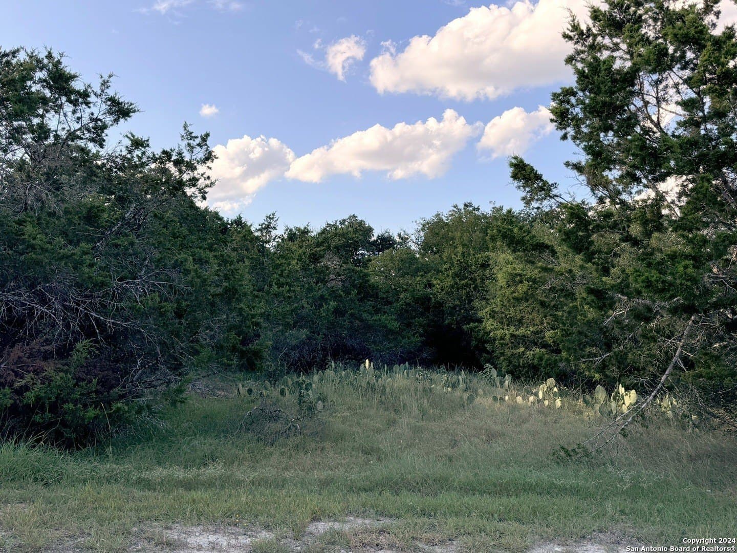 0.32 acres in Comal County - photo 5