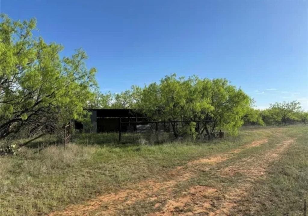 3.34 acres in Taylor County - photo 3