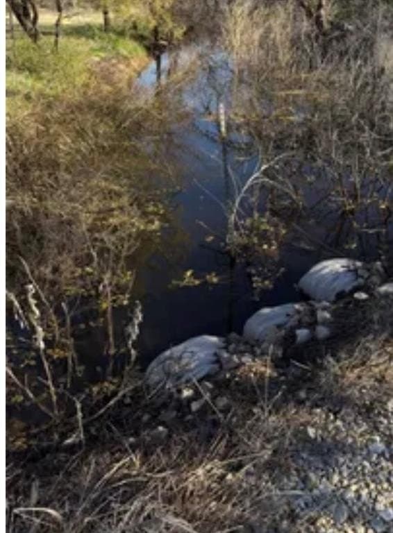 3.34 acres in Taylor County - photo 4