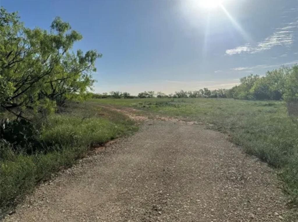 3.34 acres in Taylor County - photo 8