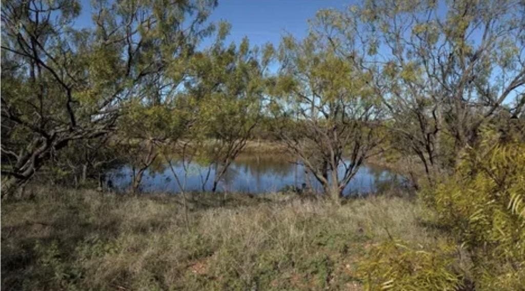 3.34 acres in Taylor County - photo 2