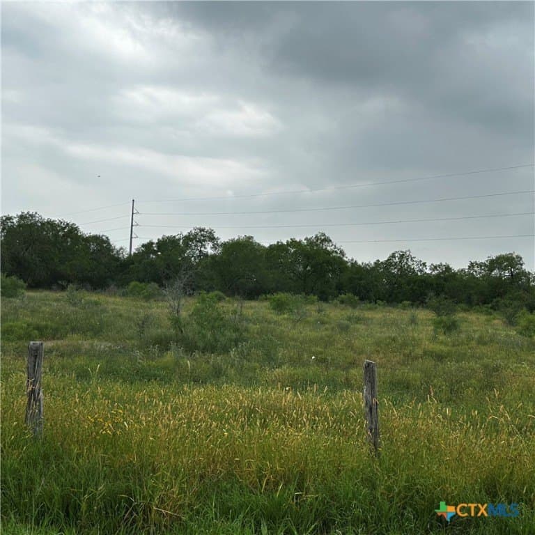 32 acres in DeWitt County - photo 27