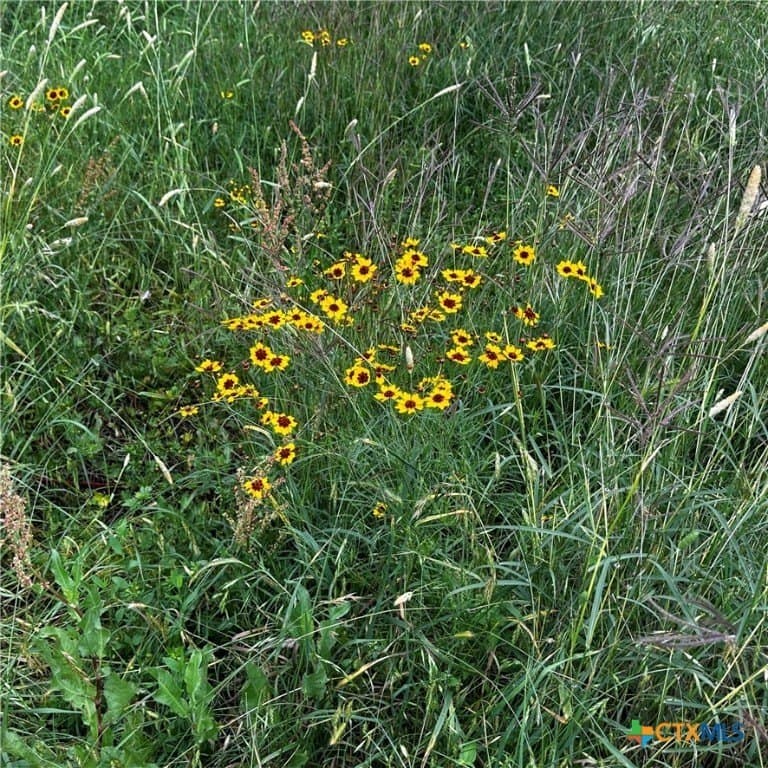 32 acres in DeWitt County - photo 31