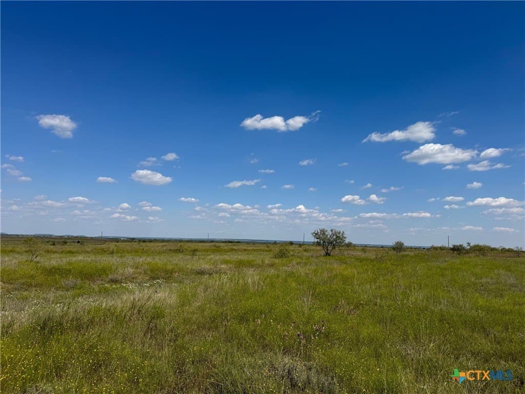 33.66 acres in Coryell County - photo 5