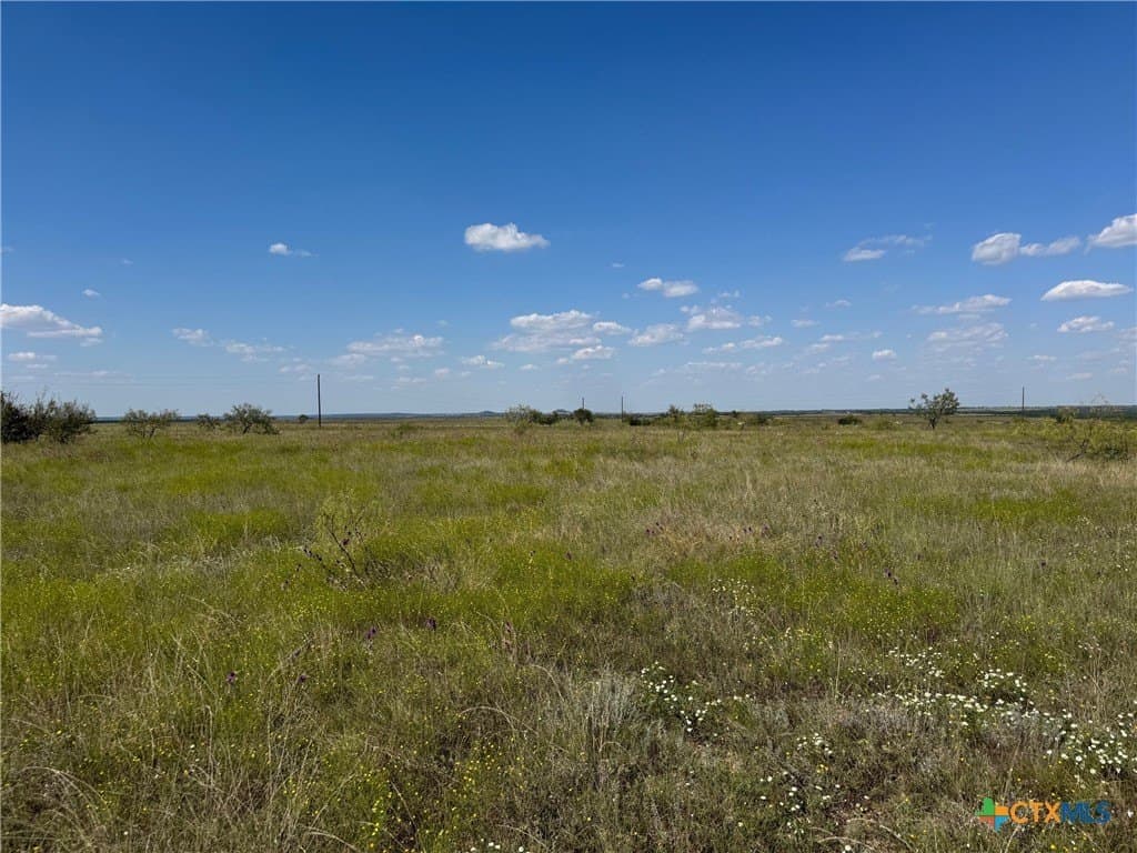 33.66 acres in Coryell County - photo 7
