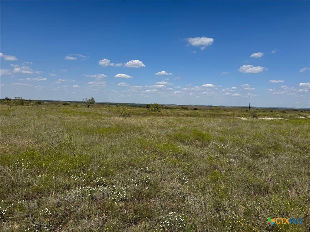 33.66 acres in Coryell County - photo 9