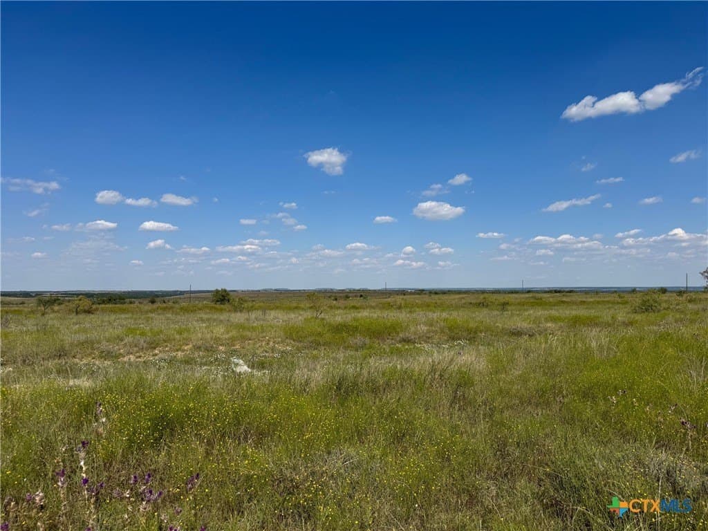 33.66 acres in Coryell County - photo 4