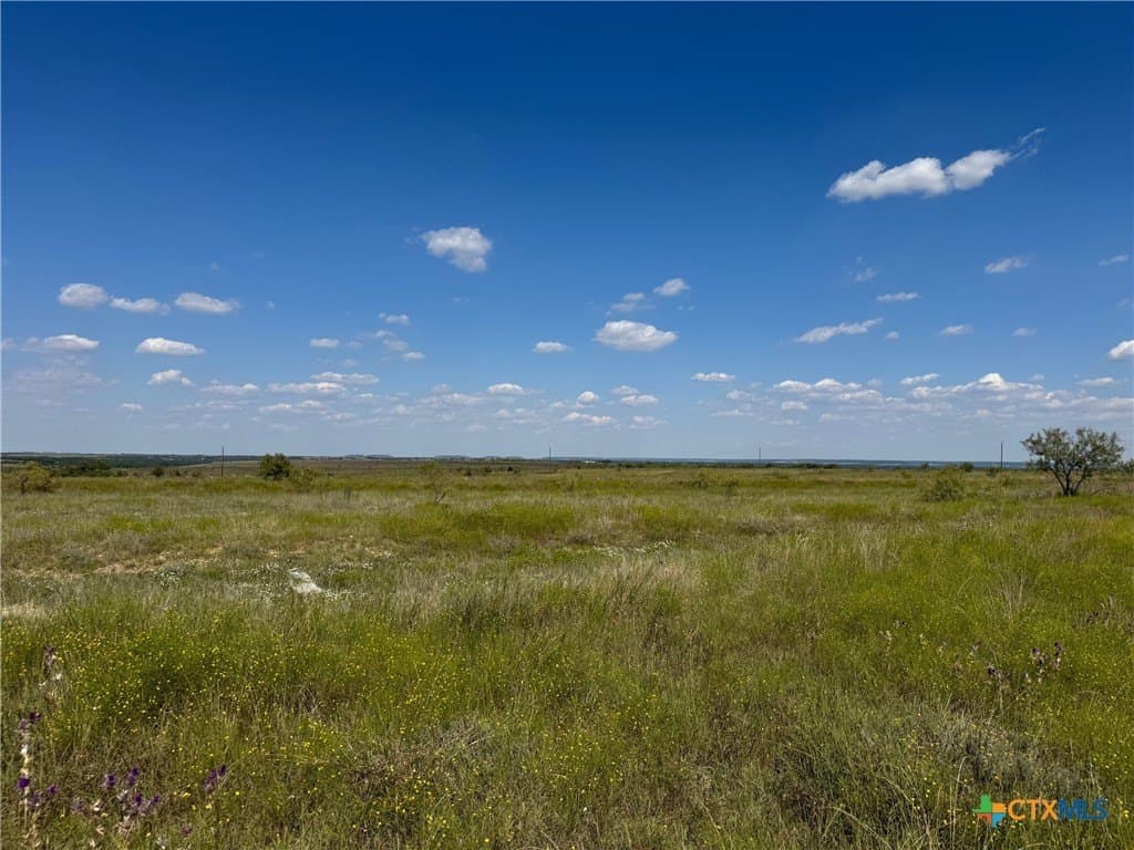 33.66 acres in Coryell County - photo 6